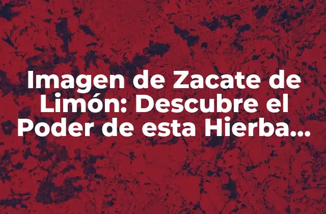 Imagen de Zacate de Limón: Descubre el Poder de Esta Hierba Natural