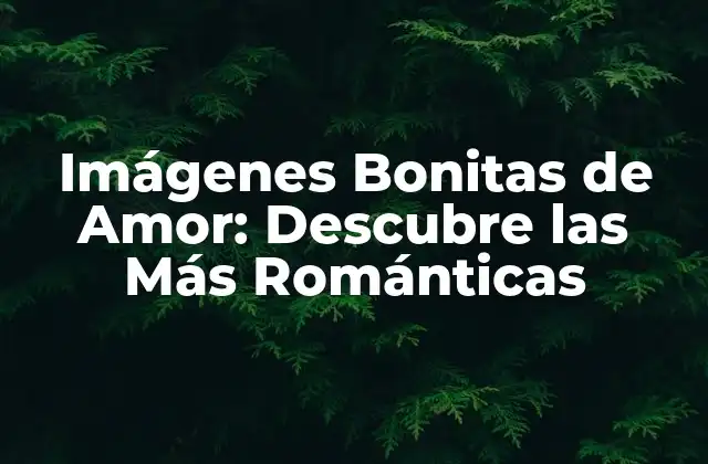 ¿Qué Hacen que las Imágenes de Amor Sean Tan Especiales?