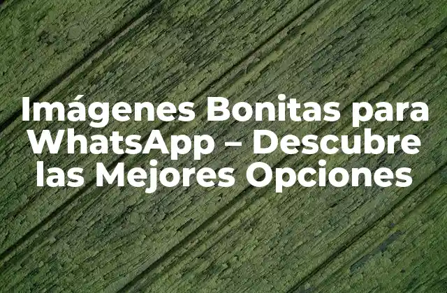 Imágenes Bonitas para Whatsapp – Descubre las Mejores Opciones
