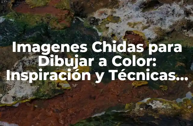 Tipos de Imágenes Chidas para Dibujar a Color