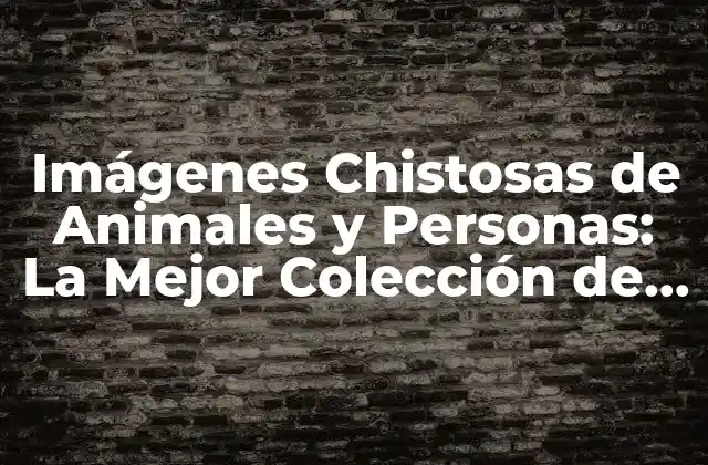 Imágenes Chistosas de Animales y Personas: la Mejor Colección de Fotos Divertidas