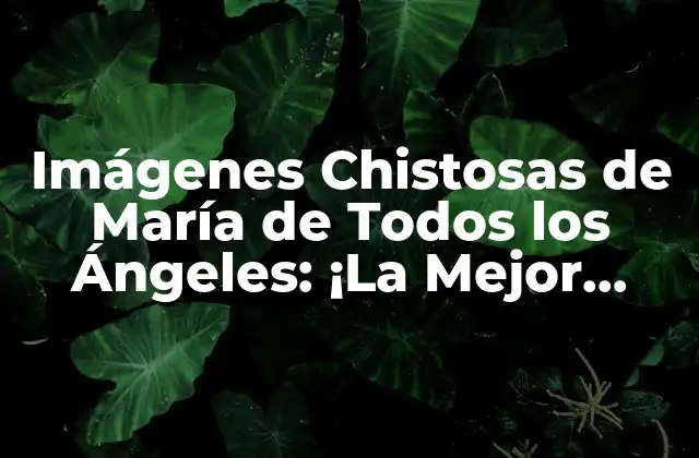 Imágenes Chistosas de María de Todos los Ángeles: ¡la Mejor Colección!