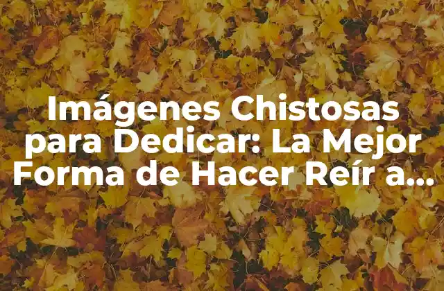 Imágenes Chistosas para Dedicar: la Mejor Forma de Hacer Reír a Tus Amigos