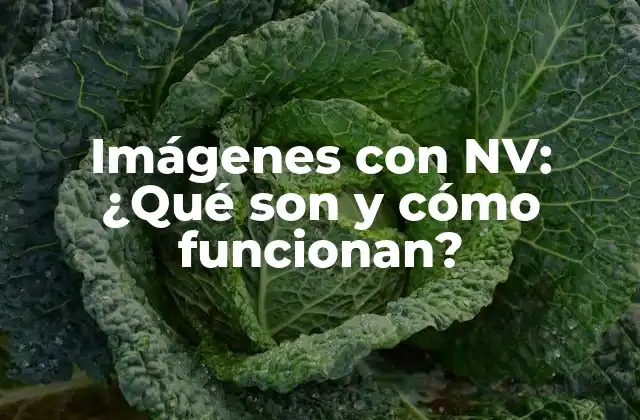 Imágenes con Nv: ¿qué Son y Cómo Funcionan?
