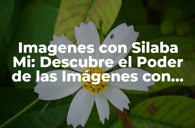 Imagenes con Silaba Mi: Descubre el Poder de las Imágenes con Sonido