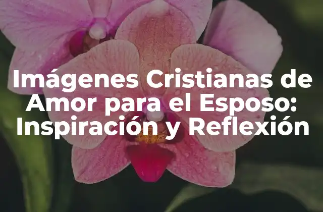 Imágenes Cristianas de Amor para el Esposo: Inspiración y Reflexión