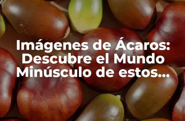 Imágenes de Ácaros: Descubre el Mundo Minúsculo de Estos Pequeños Arácnidos