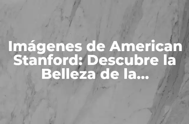 Imágenes de American Stanford: Descubre la Belleza de la Universidad Más Prestigiosa de Estados Unidos