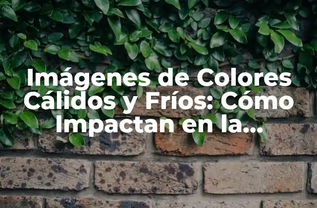 Imágenes de Colores Cálidos y Fríos: Cómo Impactan en la Percepción Emocional