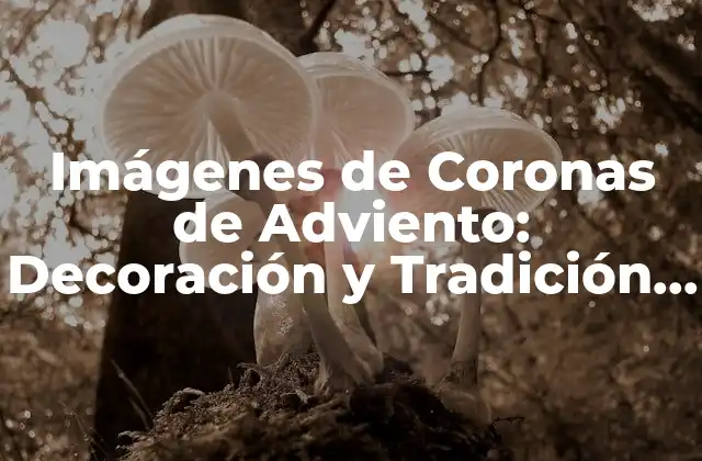 Imágenes de Coronas de Adviento: Decoración y Tradición Naval