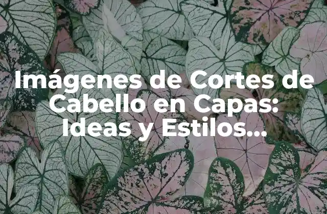 Imágenes de Cortes de Cabello en Capas: Ideas y Estilos Inspiradores