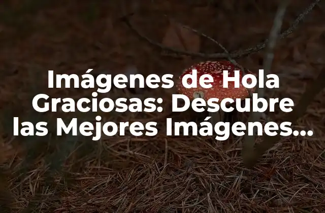 Imágenes de Hola Graciosas: Descubre las Mejores Imágenes Divertidas para Saludar