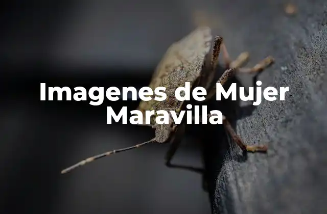 La Evolución de la Imagen de Mujer Maravilla