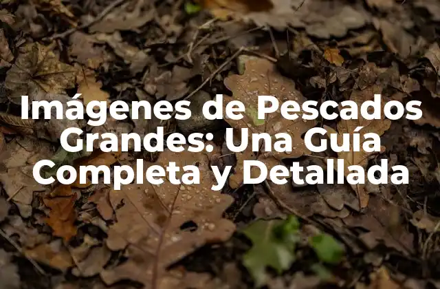 Imágenes de Pescados Grandes: una Guía Completa y Detallada