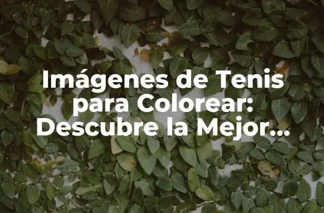 Imágenes de Tenis para Colorear: Descubre la Mejor Forma de Divertirte