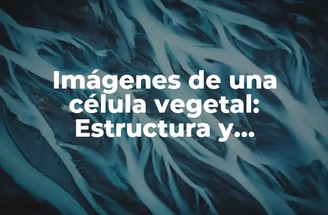 Imágenes de una Célula Vegetal: Estructura y Componentes