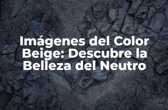 Imágenes Del Color Beige: Descubre la Belleza Del Neutro