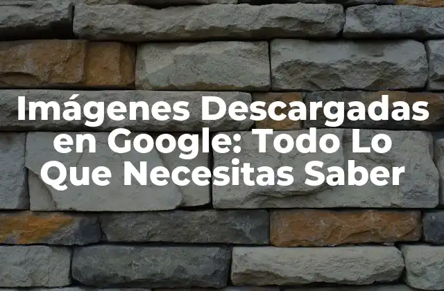 Imágenes Descargadas en Google: Todo Lo que Necesitas Saber