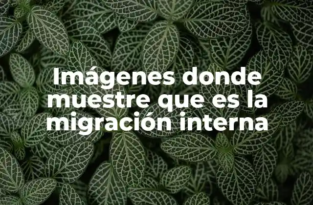 Imágenes Donde Muestre que es la Migración Interna