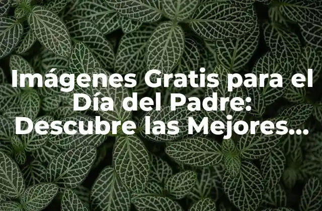 Imágenes Gratis para el Día Del Padre: Descubre las Mejores Opciones