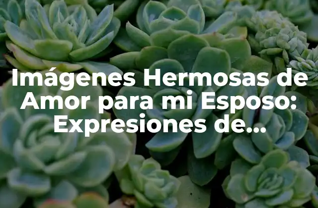 Imágenes Hermosas de Amor para Mi Esposo: Expresiones de Devoción