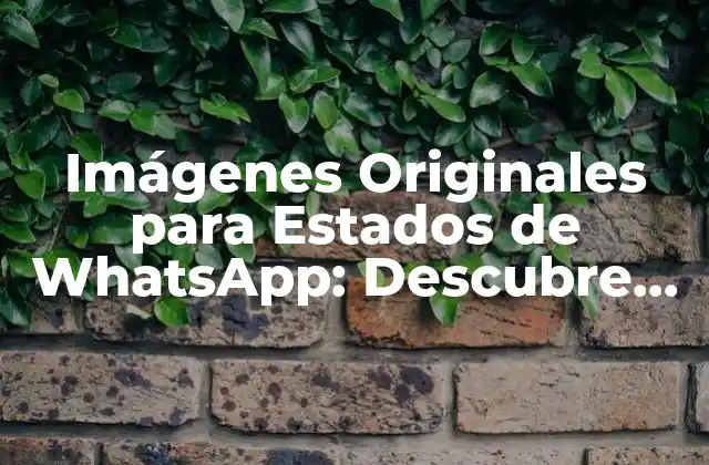 Imágenes Originales para Estados de Whatsapp: Descubre las Mejores Opciones