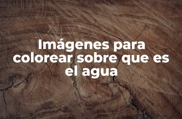 La importancia del agua en la educación infantil