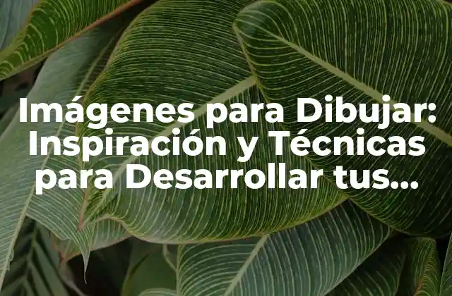 Imágenes para Dibujar: Inspiración y Técnicas para Desarrollar Tus Habilidades Artísticas