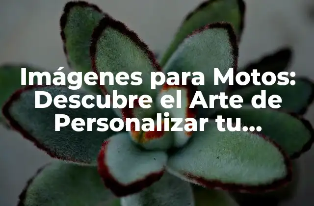 Imágenes para Motos: Descubre el Arte de Personalizar Tu Vehículo