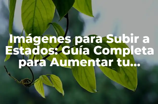 Imágenes para Subir a Estados: Guía Completa para Aumentar Tu Presencia en las Redes Sociales