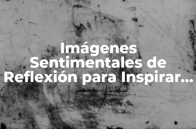 ¿Qué son las Imágenes Sentimentales de Reflexión?