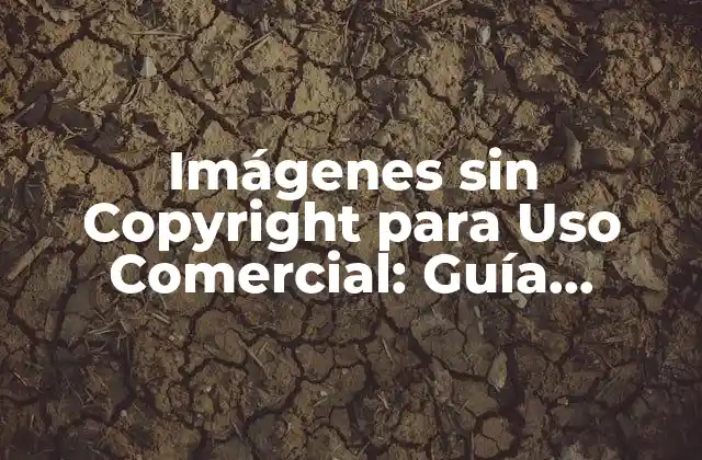 Imágenes sin Copyright para Uso Comercial: Guía Completa