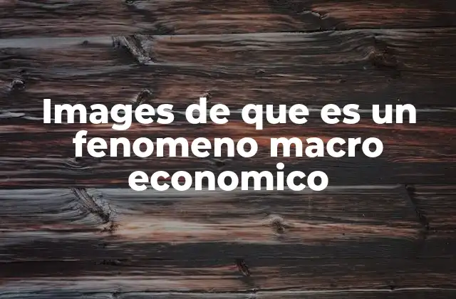 Images de que es un Fenomeno Macro Economico
