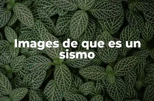 Images de que es un Sismo