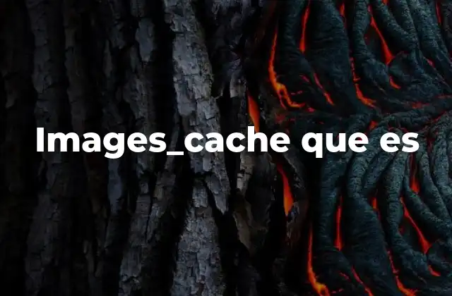 Images_cache que es