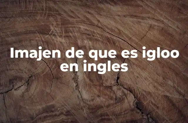 Imajen de que es Igloo en Ingles