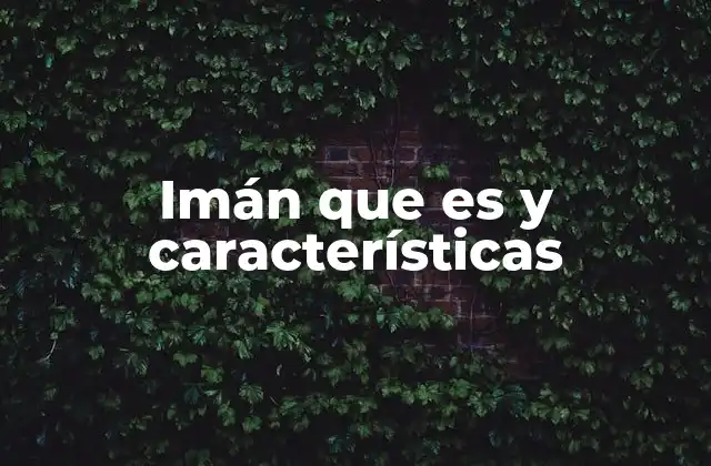 Imán que es y Características 2 Funcionamiento del magnetismo y su relación con los imanes