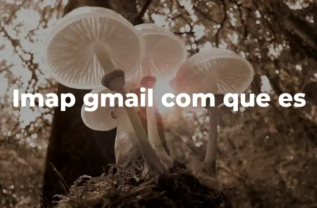 Imap Gmail Com que es