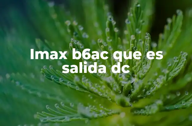 Imax B6ac que es Salida Dc