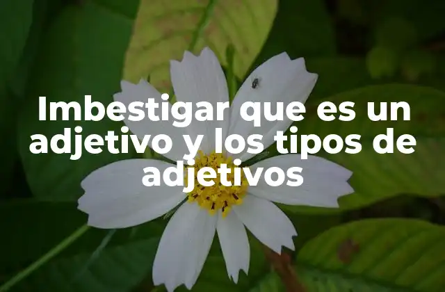Imbestigar que es un Adjetivo y los Tipos de Adjetivos