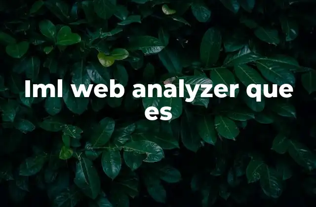 Iml Web Analyzer que es 2 Cómo funciona el análisis web con IML Web Analyzer