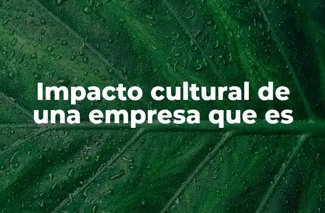 Impacto Cultural de una Empresa que es