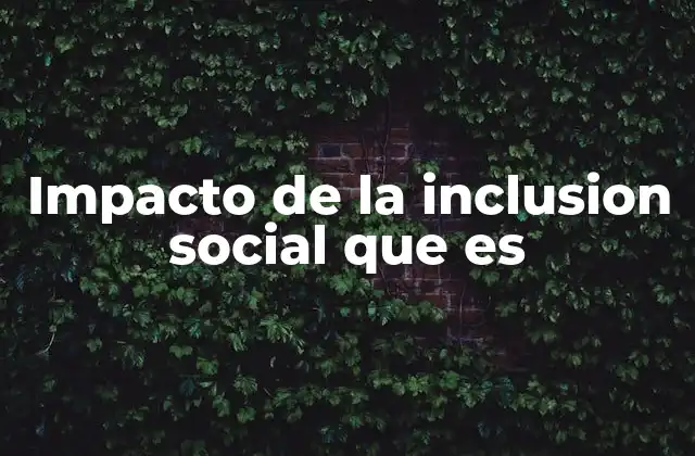 Impacto de la Inclusion Social que es