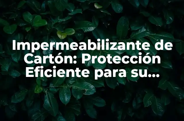 Impermeabilizante de Cartón: Protección Eficiente para Su Empaquetado