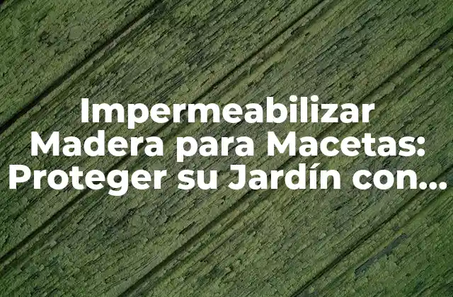 Impermeabilizar Madera para Macetas: Proteger Su Jardín con Estilo
