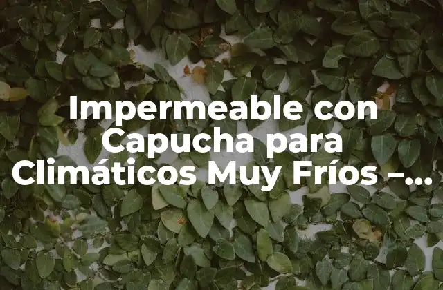 Impermeable con Capucha para Climáticos Muy Fríos – la Mejor Opción para Protegerte