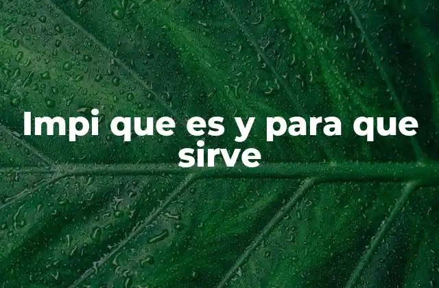 Impi que es y para que Sirve