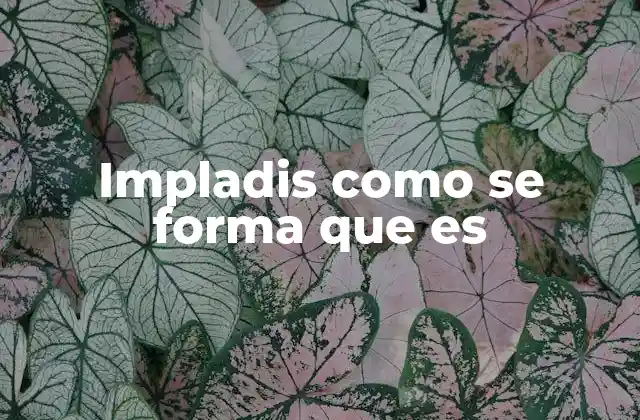 El origen de la palabra impladis