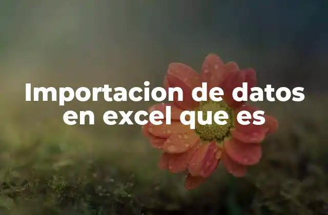 Importacion de Datos en Excel que es