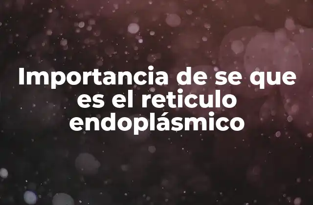 Importancia de Se que es el Reticulo Endoplásmico